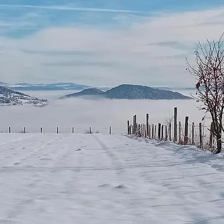 La Petite Campagne Roche-en-Regnier