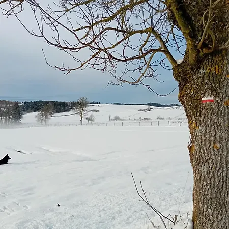 La Petite Campagne Roche-en-Regnier